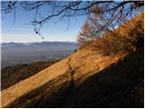 Mače - Planina Dolga njiva